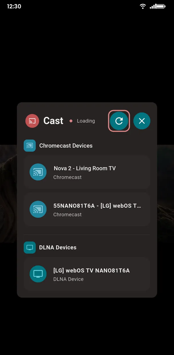 Cast device picker with Chromecast and DLNA devices