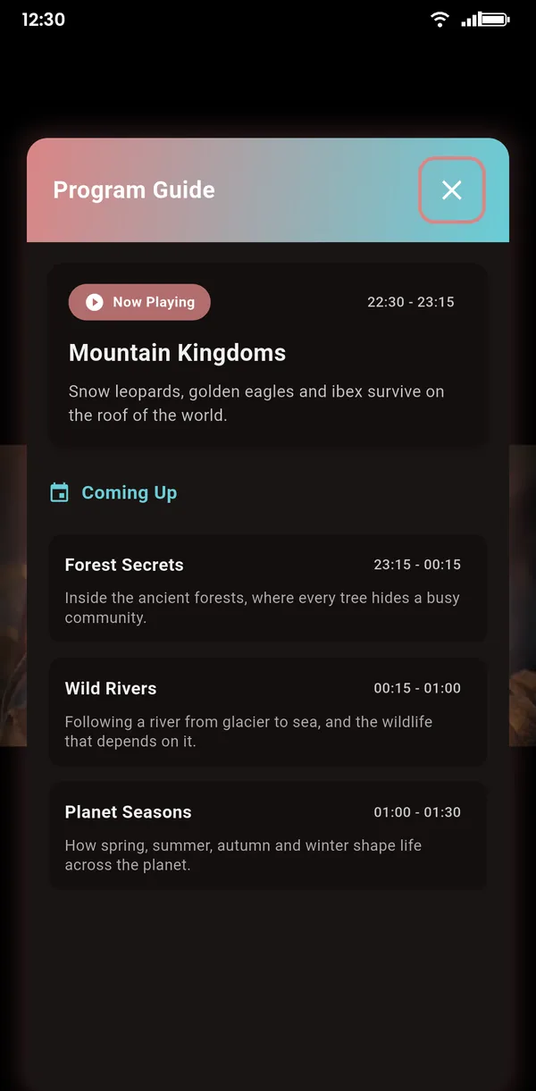 TV guide (EPG) on a phone