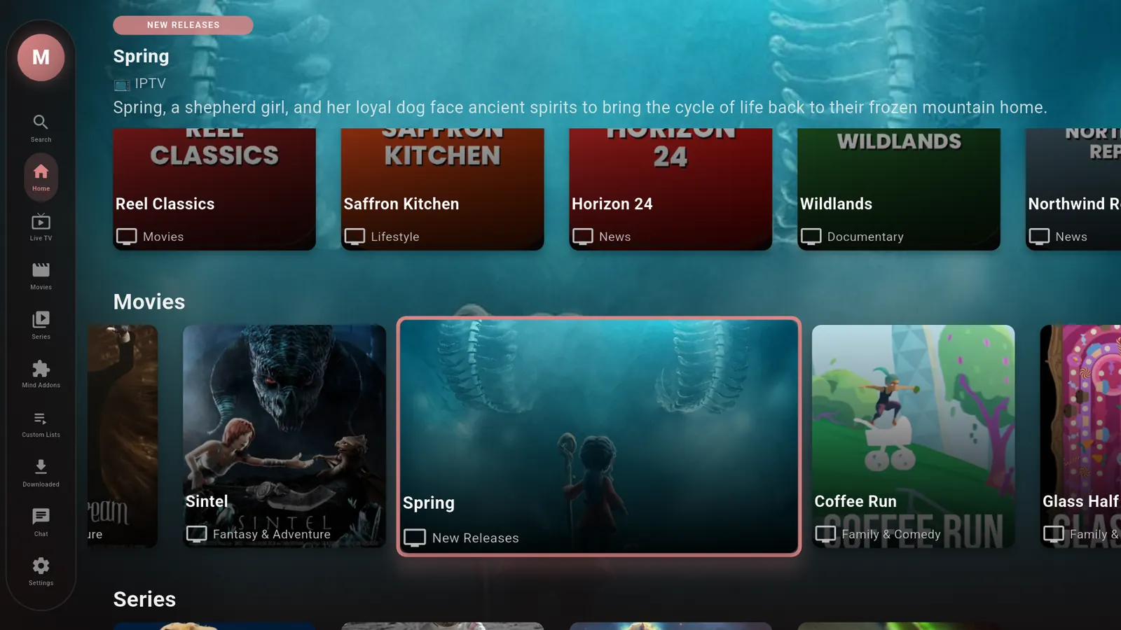 Mind IPTV Player home screen on Android TV