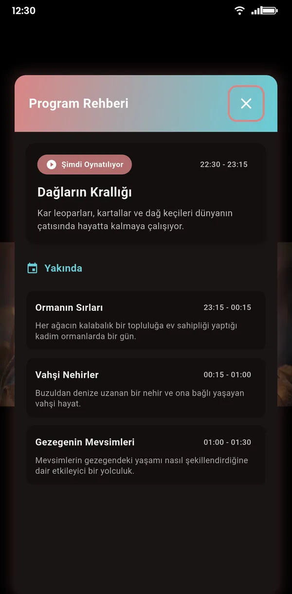 Telefonda yayın akışı (EPG)