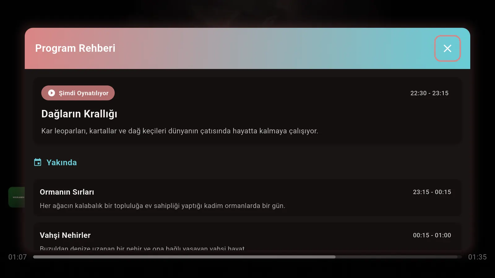 Yayın akışı