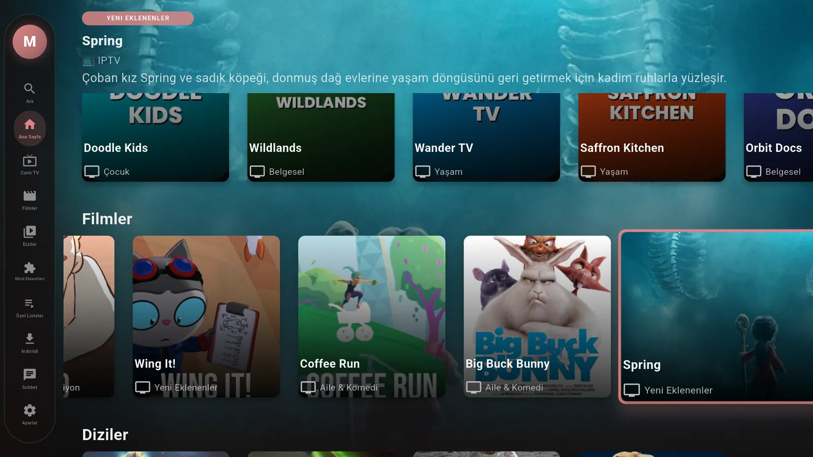 Android TV'de Mind IPTV Player ana ekranı
