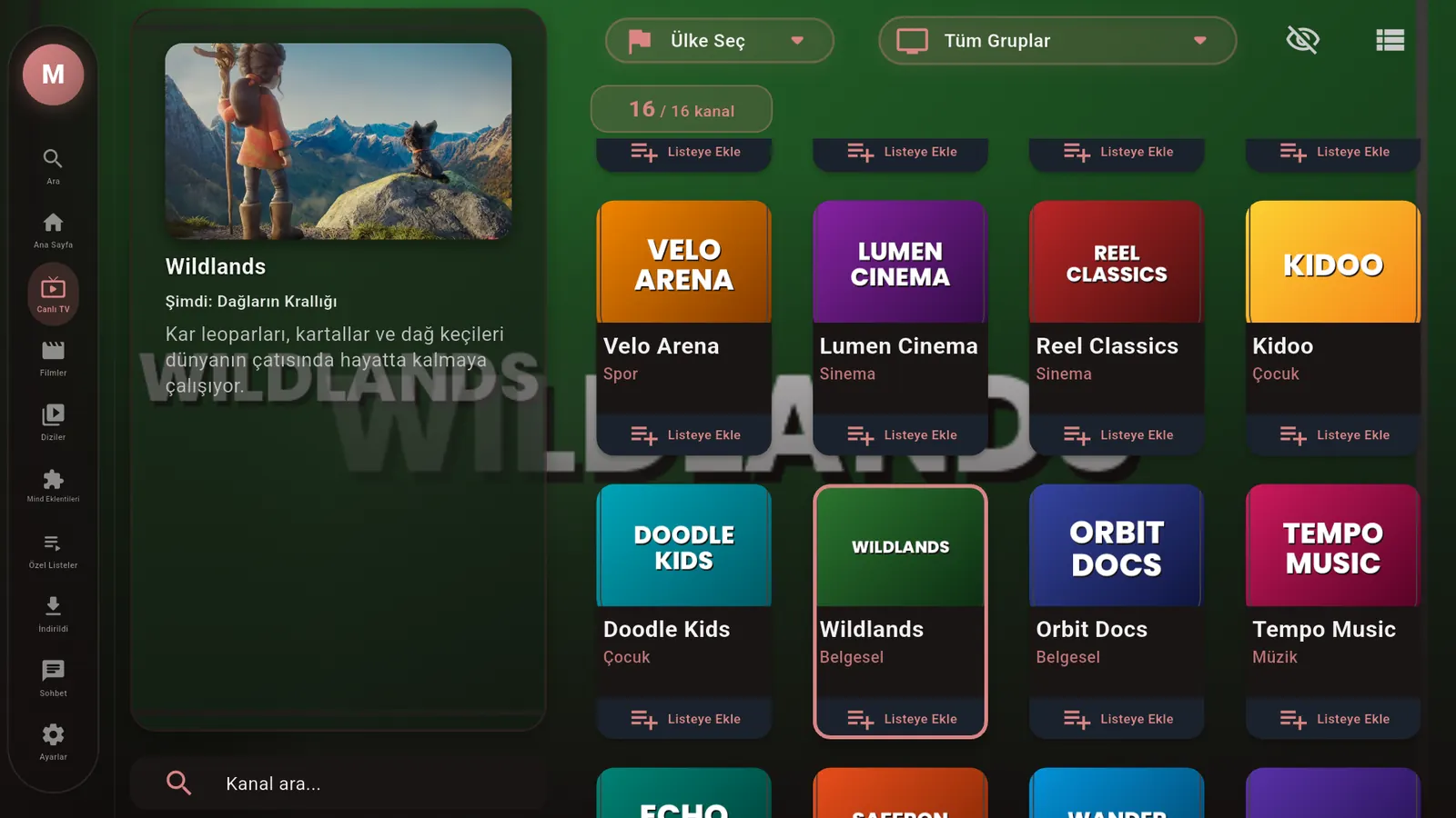 Android TV'de önizlemeli canlı TV kanal ızgarası